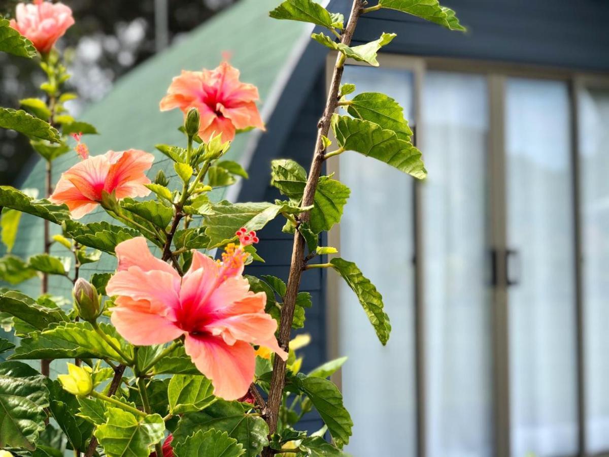Rangi Moana Villa อังกาโรอา ภายนอก รูปภาพ